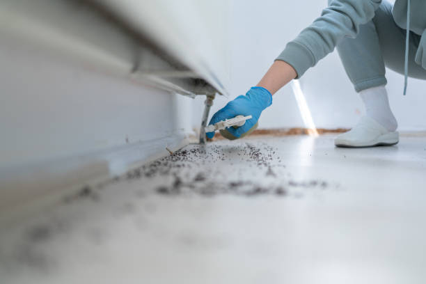 Best Insect Control  in Concordia, NJ